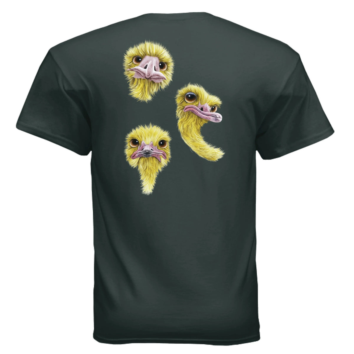 Nosy Birds funny graphic t-shirt - An Old Man's Art
